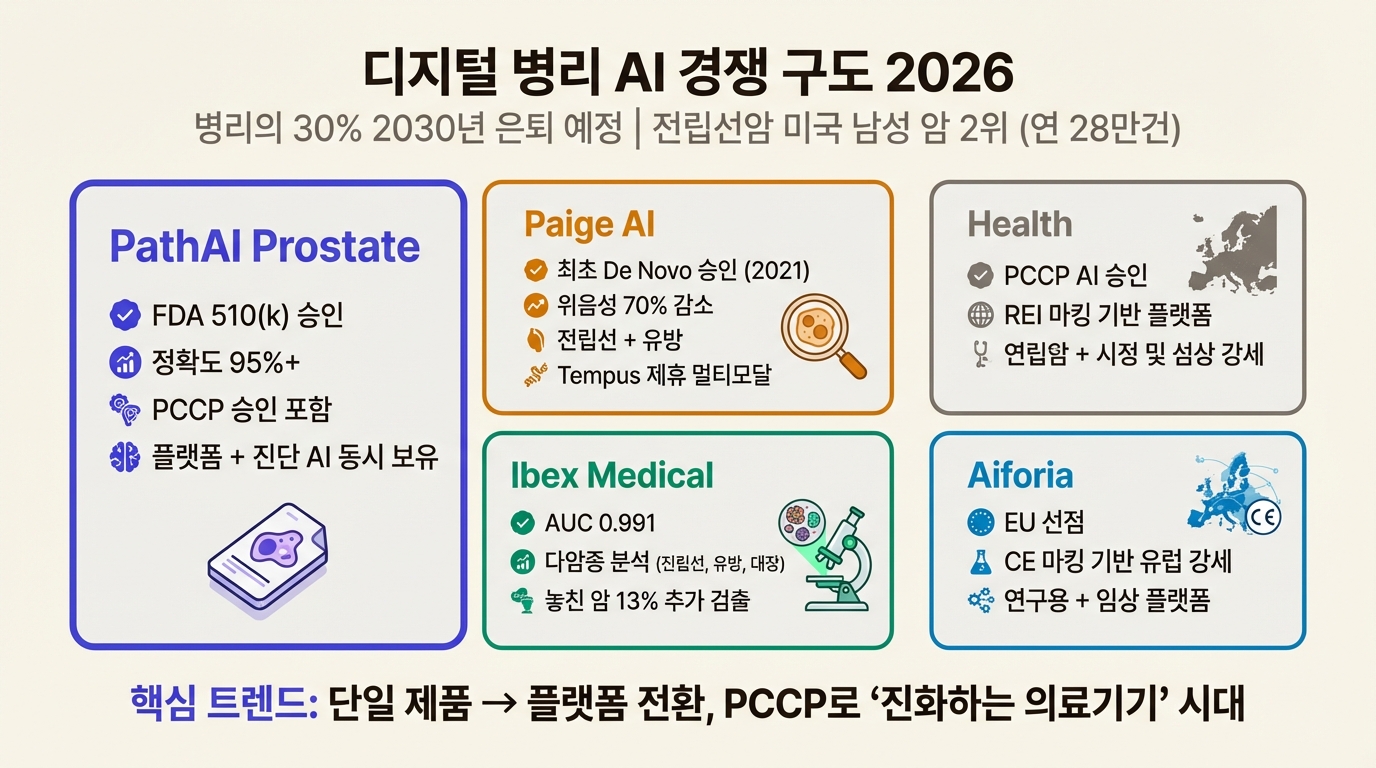 디지털 병리 AI 경쟁 구도 2026