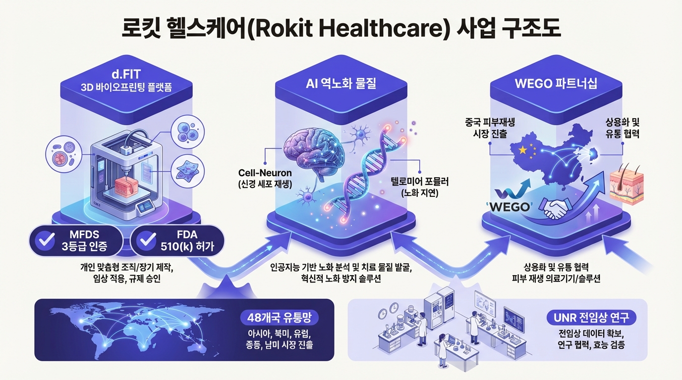 로킷 헬스케어 사업 구조도: d.FIT, AI 역노화, WEGO 파트너십