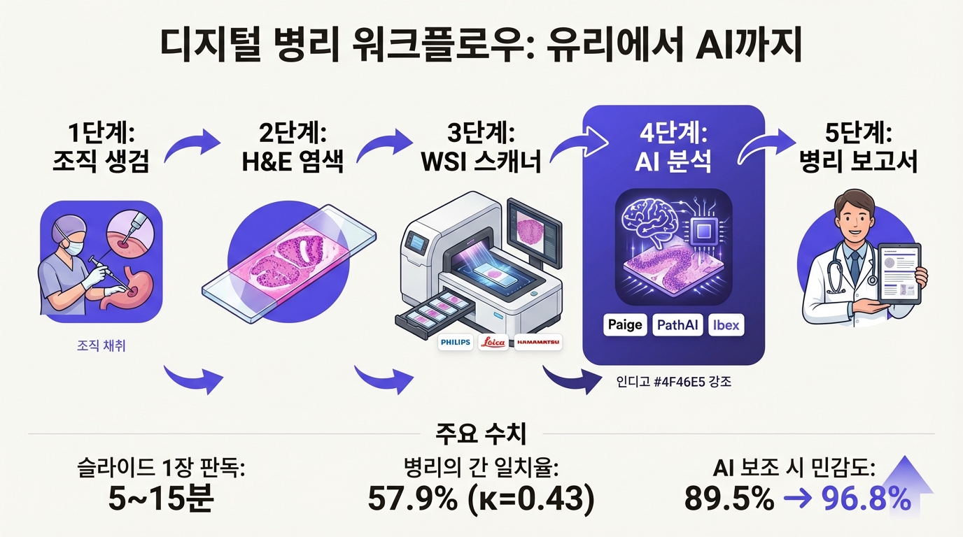 디지털 병리 워크플로우: 유리에서 AI까지